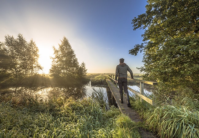 Drentse Lagune Omgeving - Omgeving Meer