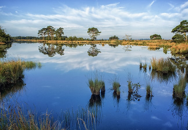 Drentse Lagune Omgeving - Omgeving Meer