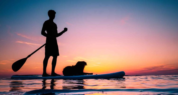 Silhouette of a man and a black dog on a Stand Up Paddle Board,